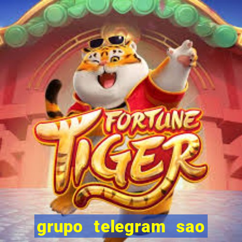 grupo telegram sao jose do rio preto